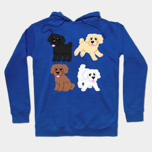 Simple Poodles in Blue Hoodie